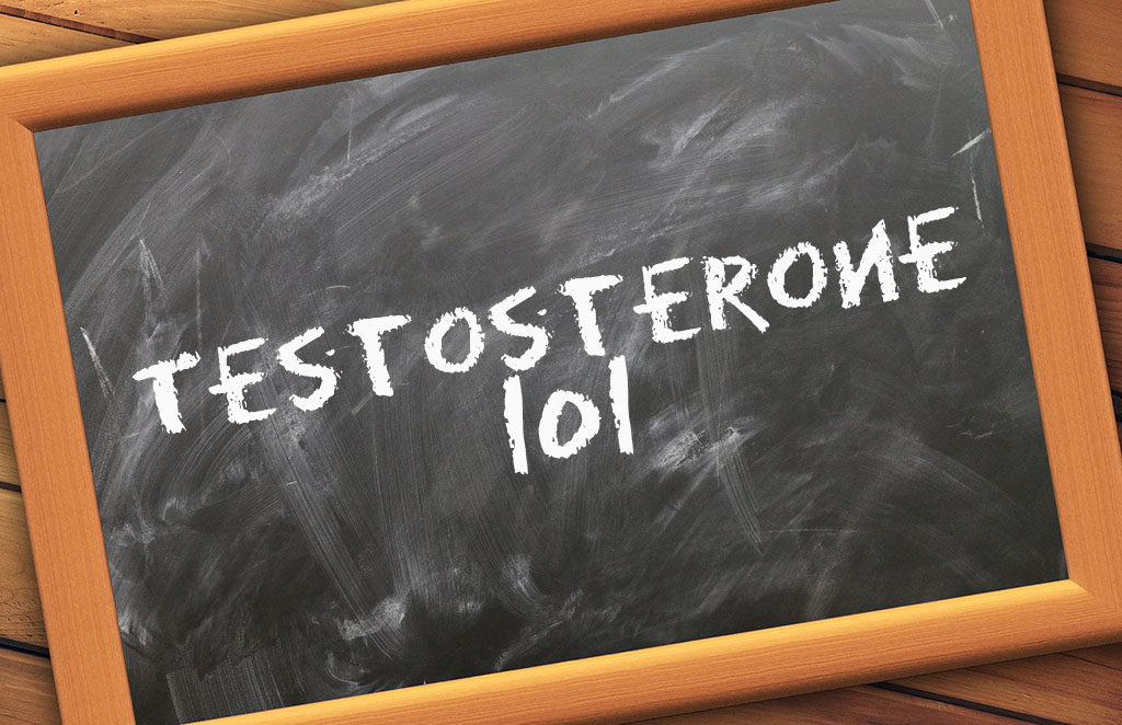 Testosterone 101